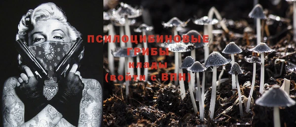 мескалин Михайловск