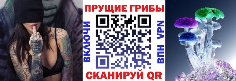 где можно купить   Владикавказ  Галлюциногенные грибы Magic Shrooms 